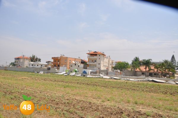 wallludshaneer509 (14).JPG